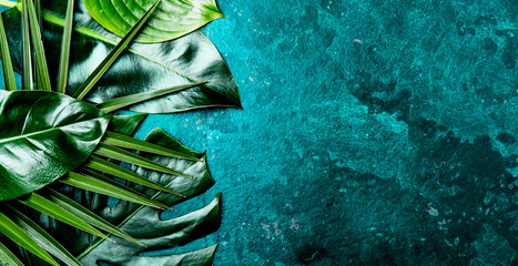 Creative tropical leaves background. Trandy tropical leaves on turquoise slate background - color of the year 2018. Top view, copy space © lblinova