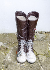 statue of boots with laces. A frog and a ladybug are sitting on the boots.