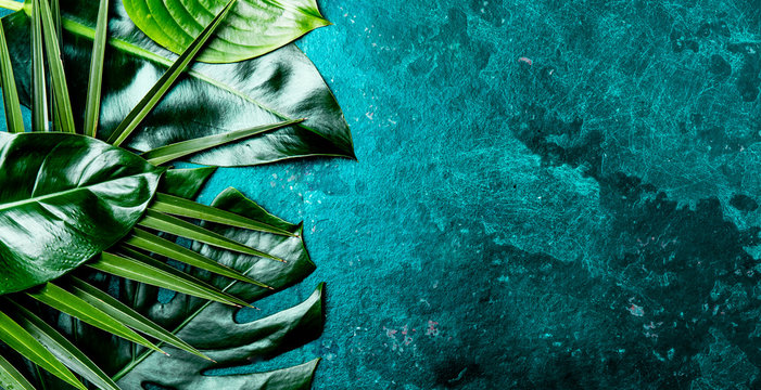 Fototapeta Creative tropical leaves background. Trandy tropical leaves on turquoise slate background - color of the year 2018. Top view, copy space