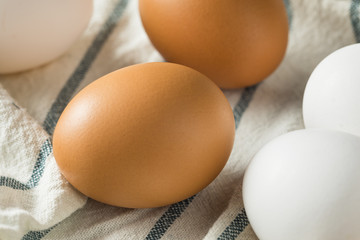 Cage Free Organic White and Brown Eggs