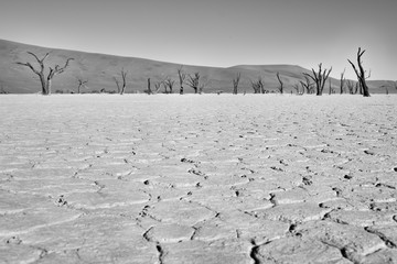 Deadvlei, Sossusvlei Namibia
