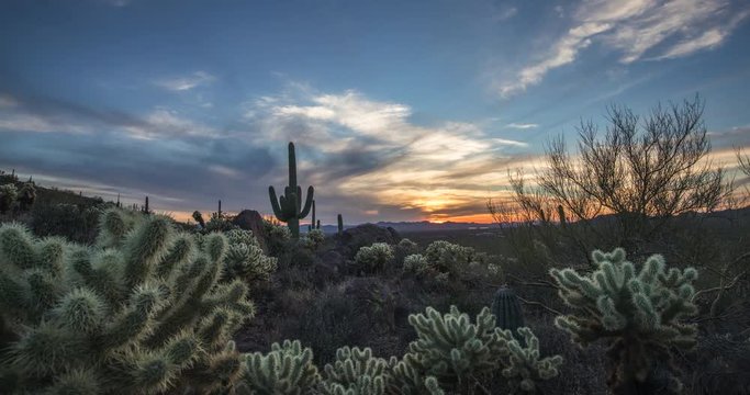 Time Lapse video shot a sunset in Saguaro National Park, Arizona.