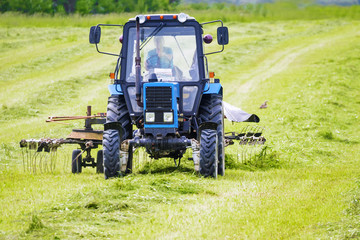Obraz premium the tractor in the field with turns the hay on drying