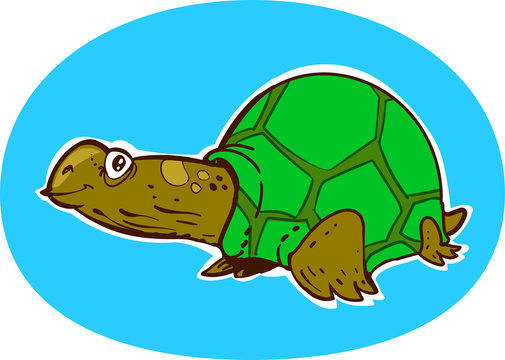 smiling turtle cartoon style illustration