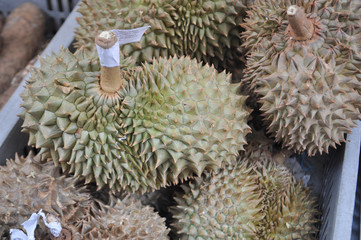 Naklejka na ściany i meble Durian edible fruit