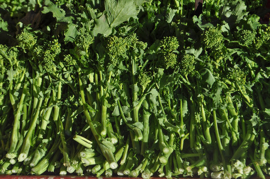 rapini broccoli vegetables food