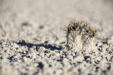 Soil erosion, white sand