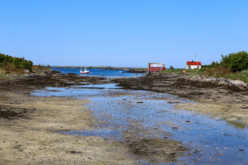 Travel at  Vega island Northern Norway