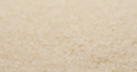 Heap of Fresh uncooked rice