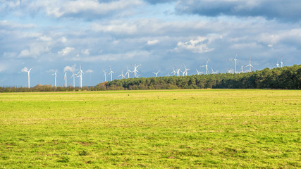 wind turbines field