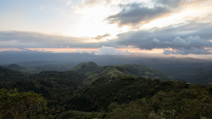 Coffee Field on a Mountain Top