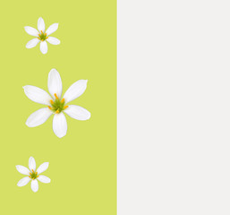 stock-photo-sale-green-background-spring-banner-from-flowers