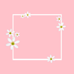 stock-photo-spring-background-pink-color-banner-with-white-flowers-special-offer