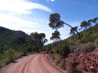 Subiendo el monte