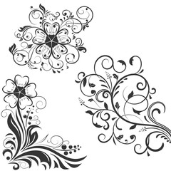 Floral decorative design elements for invitations and cards