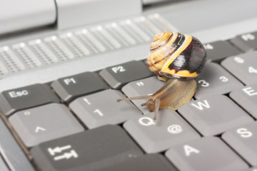 LTE Drosselung - Schnecke auf einer Tastatur
