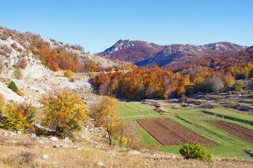 Beautiful autumn landscape with small fields in the valley of the Dinaric Alps.  Montenegro, Lovcen National Park