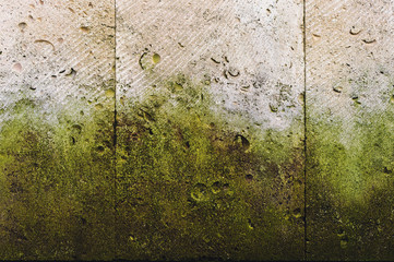 Textured background vertical facing tiles from shell stone with traces of moss formation in the form of green mold. Grunge background with elements of living plant life. Old wall with green mold.