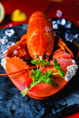 Portrait of a red lobster with a bouquet of parsley in a clove, small white snails grown on the lobsters shell, on a black stone tray on red wooden background, Valentines, Mothers day or Sorry Concept