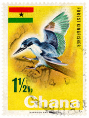 Ghana Forest Kingfisher Postage Stamp