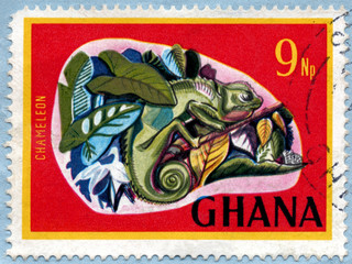 Ghana Chameleon Postage Stamp