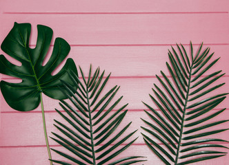 different tropical leaf  on pink background