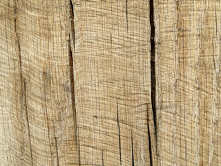 Old wood texture background. Cracked dry wooden board surface