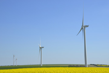 Eoliennes près de Reims (Marne), France - Wind farm near Reims in Champagne, France