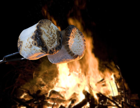 Hot campfire and marshmallows