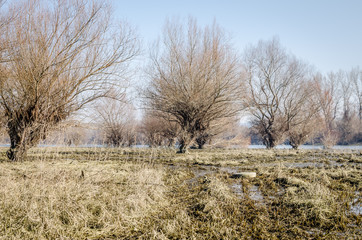 Autumn lake panorama 