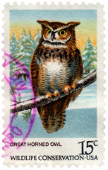 Great horned Owl Postage Stamp