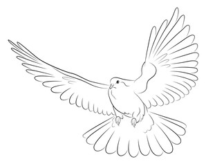 Silhouette of white dove - the symbol of peace.