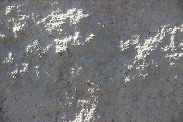Gray background, abstract texture - close-up fragment of dry concrete slab