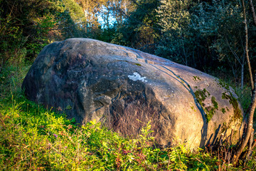 A large boulder near the village of Malomakhovo, Borovskiy district, Russia
