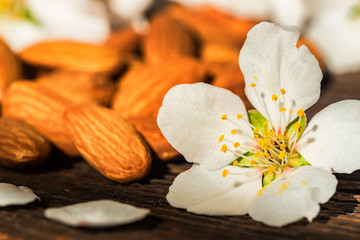 Almonds and white flowers on dark wooden surface