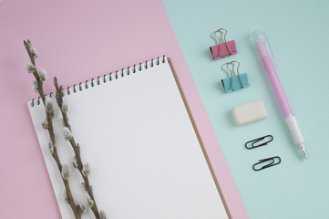 Concept for girl's desktop. On the desk is laptop, notepad for notes, phone,  pen, pencil, paper clips, eraser, office supplies, spring tree twigs. The background is turquoise with pink. Flat lay.
