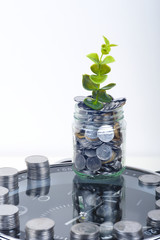 coins with plant and clock, isolated on white background. savings concept