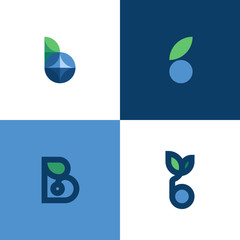 Set of elegant icons or logo templates of letter b and blue berry with leaf