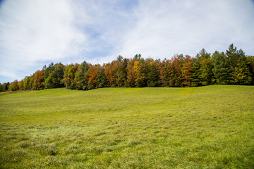 Fall Field