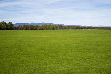 Vermont Pasture