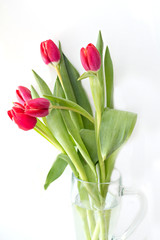 Beautiful bright bouquet of tulips in a glass vase with water drops on white background