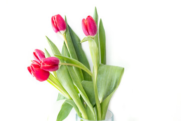 Beautiful bright bouquet of tulips in a glass vase with water drops on white background