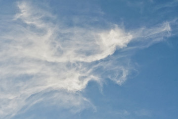 Clear blue sky with plain white cloud with space for text background