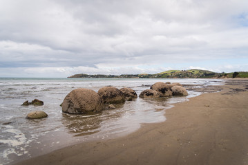Moeraki Boulders lined up on a beach in New Zealand. 