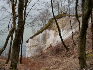 Kreidefelsen am Stubnitzwald auf Rügen
