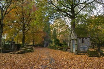Autumn colors in a cemetery in Brussels