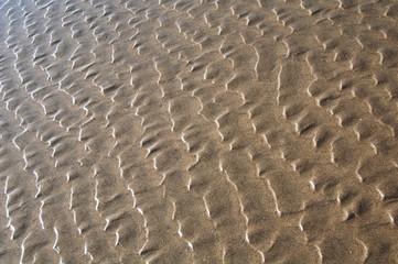 Rippled Sand Texture