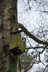 Fågleholken.