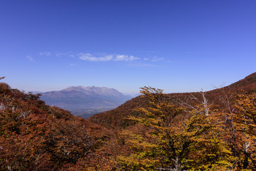 Colorful Autumn in Patagonia, Argentina