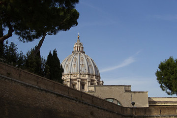 The dome of St. Peter's Basilica in the Vatican on the background of blue sky and Italian pine...